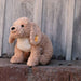 Berno Goldendoodle Dog Plush Stuffed Toy, 14 Inches